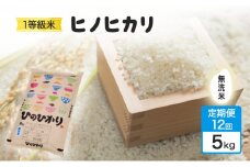 定期便 12回 米 1粒からこだわる 1等級米 ヒノヒカリ 無洗米 5kg お米 コメ お楽しみ 12ヶ月