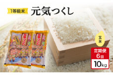 定期便 6回 米 1粒からこだわる 1等級米 元気つくし 玄米 10kg お米 コメ お楽しみ 6ヶ月
