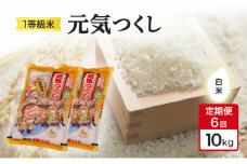 定期便 6回 米 1粒からこだわる 1等級米 元気つくし 白米 10kg お米 コメ お楽しみ 6ヶ月