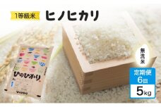 定期便 6回 米 1粒からこだわる 1等級米 ヒノヒカリ 無洗米 5kg お米 コメ お楽しみ 6ヶ月