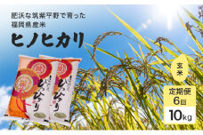 定期便 6回 米 1粒からこだわる 1等級米 ヒノヒカリ 玄米10kg お米 コメ お楽しみ 6ヶ月