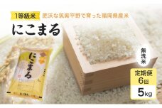 定期便 6回 米 1粒からこだわる 1等級米 にこまる 無洗米5kg お米 コメ お楽しみ 6ヶ月