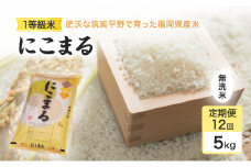 定期便 12回 米 1粒からこだわる 1等級米 にこまる 無洗米5kg お米 コメ お楽しみ 12ヶ月