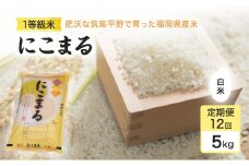 定期便 12回 米 1粒からこだわる1等級米 にこまる 白米(5kg×12回） お米 コメ お楽しみ 12ヶ月