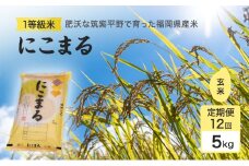 定期便 12回 米 1粒からこだわる1等級米 にこまる 玄米(5kg×12回） お米 コメ お楽しみ 12ヶ月
