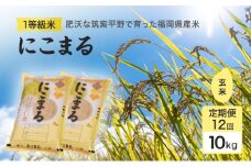 定期便 12回 米 1粒からこだわる1等級米 にこまる 玄米(10kg×12回） お米 コメ お楽しみ 12ヶ月