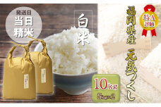 米 10kg 元気つくし 福岡県産 特A評価 お米 5kg×2袋　白米 コメ 福岡県 ご飯 ごはん 精米 国産 国産米 グルメ 食品