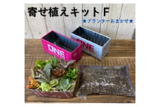 多肉植物 じぶんで植える 多肉 寄せ植えキットF 色柄おまかせ スチール製 コンテナ型 プランターインテリア 植物 寄せ植え ガーデニング 福岡 小郡市