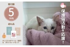 保護猫活動を応援！ ロゴチャーム(金具)&ポストカード×3枚  さくらねこサポートOGORI 雑貨 日用品 猫 保護猫