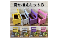 多肉植物 じぶんで植える 多肉 寄せ植えキットB 木製 ベンチ型 プランター 全4色 インテリア 植物 寄せ植え ガーデニング 福岡 小郡市 ：白色