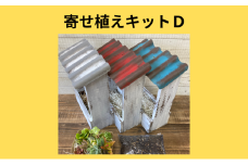 多肉植物 じぶんで植える 多肉 寄せ植えキットD 木製 屋根付き プランター 全3色 インテリア 植物 寄せ植え ガーデニング 福岡 小郡市 ：赤色