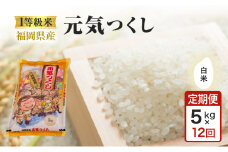定期便 12回 1等級米 米 1粒からこだわる 福岡県産米 元気つくし 白米 5kg お米 コメ お楽しみ 12ヶ月