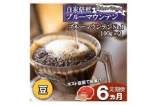 【6ヵ月定期便】ブルーマウンテン・ストレート(豆)【ポスト投函】レギュラーコーヒー 珈琲 コーヒー 珈琲粉 コーヒー豆 珈琲豆 ドリップコーヒー ドリップ 自家焙煎珈琲 自家焙煎コーヒー 6回 お楽しみ 福岡 福岡県 小郡市