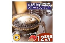 定期便 12ヶ月 黄金のバランス ブルーマウンテン (豆・増量)【ポスト投函】 2種 各200g