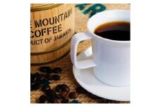 コーヒー 自家焙煎 Morrow珈琲 “黄金のバランス” ブルーマウンテン 【大】2種 各200g 粉