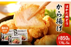 はかた地どり から揚げ 5セット 温めるだけ 唐揚げ 鶏肉 お肉 レンジ 調理 ※配送不可：離島