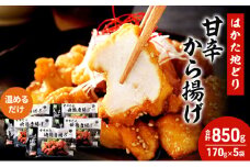 はかた地どり 甘辛 から揚げ 5セット 温めるだけ 唐揚げ 鶏肉 お肉 レンジ 調理 ※配送不可：離島