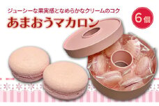 洋菓子 あまおう マカロン 6個入り いちご スイーツ 菓子 お菓子
