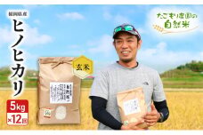 定期便 12ヶ月 米 たごもり農園の自然米 ヒノヒカリ 玄米 5kg お米 12回