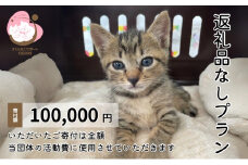 保護猫活動を応援！返礼品無し 100,000円 (お礼状送付) 保護猫