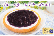 タルト ブルーベリー・レアチーズタルト 手作り スイーツ デザート お菓子 焼菓子 濃厚 チーズ ブルーベリー