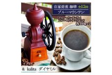 定期便 12回 自家焙煎 ブルーマウンテン 12ヶ月&ダイヤミル(200g×2×12回) お楽しみ Morrow珈琲