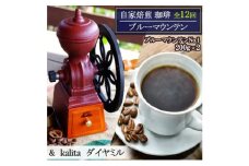 定期便 12回 自家焙煎 ブルーマウンテン(ストレート)  12ヶ月 &ダイヤミル(200g×2×12回) お楽しみ Morrow珈琲