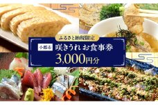 ふるさと納税限定！お食事券 3,000円 (1,000円券×3枚) 食事券 チケット