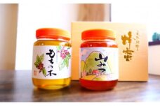 はちみつ 福岡県 特産 天然 国産 純はちみつ 各1kg もちのき＆やまみつ ハチミツ 蜂蜜