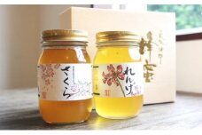 はちみつ 国産 天然 純はちみつ 600g×2本 さくら&れんげ ハチミツ 蜂蜜