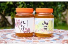 はちみつ 国産 天然 純はちみつ 各1kg れんげ＆やまみつ ハチミツ 蜂蜜