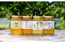 はちみつ 国産 天然 純はちみつ 370g×4本セット れんげ＆もちのき＆やまみつ＆さくら ハチミツ 蜂蜜