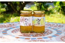はちみつ 国産 天然 純はちみつ 370g×2本セット やまみつ＆れんげ ハチミツ 蜂蜜