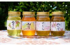はちみつ 国産 天然 純はちみつ 600g×4本セット れんげ＆やまみつ＆さくら＆もちのき ハチミツ 蜂蜜