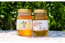 はちみつ 国産 天然 純はちみつ 600g×2本セット やまみつ＆れんげ ハチミツ 蜂蜜
