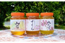 はちみつ 国産 天然 純はちみつ 1kg×3本セット やまみつ＆さくら＆れんげ ハチミツ 蜂蜜