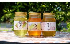 はちみつ 国産 天然 純はちみつ 600g×3本セット さくら＆もちのき＆やまみつ ハチミツ 蜂蜜