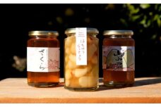 はちみつ らっきょう セット 国産 天然 純はちみつ 370g×2本 やまみつ＆さくら、はちみつらっきょう 300g ハニーベル