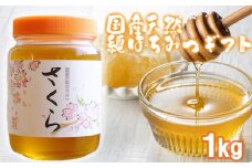 はちみつ 化粧箱入り 国産 天然 純はちみつ さくら 1kg ギフト《包装対応、手提げ袋付》