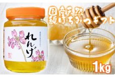 はちみつ 化粧箱入り 国産 天然 純はちみつ れんげ 1kg ギフト 《包装対応、手提げ袋付》