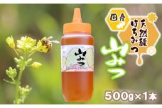 はちみつ 国産 天然 純はちみつ やまみつ 500g ハチミツ 蜂蜜 とんがり容器