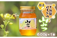 はちみつ 国産 天然 純はちみつ やまみつ 600g ハチミツ 蜂蜜