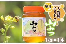 はちみつ 国産 天然 純はちみつ やまみつ 1kg ハチミツ 蜂蜜