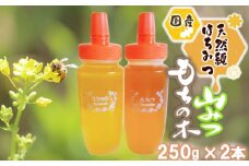 はちみつ 国産 天然 純はちみつ 250g×2本 もちのき＆やまみつ ハチミツ 蜂蜜