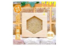 天然 国産 純はちみつ 巣蜜 約250g前後