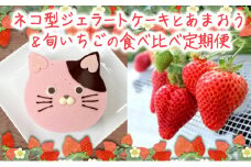 2回お届け いちご ジェラートケーキ あまおうと旬のいちご 各2パック いちご職人 白木のいちご あまおうづくし 2回 コース イチゴ 苺 果物 デザート お楽しみ ※配送不可：沖縄・離島