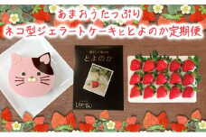 2回お届け いちご ジェラートケーキ とよのか 1箱 化粧箱入り いちご職人 白木のいちご あまおうづくし 2回 コース イチゴ 苺 果物 デザート お楽しみ ※配送不可：沖縄・離島