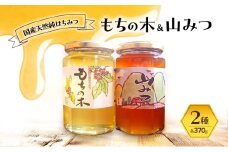 はちみつ もちの木／山みつ 各370g セット 蜂蜜 2種