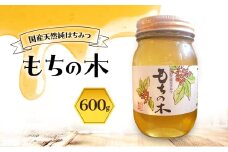 はちみつ もちの木 600g 蜂蜜