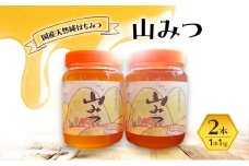 はちみつ 山みつ 1kg×2本 蜂蜜
